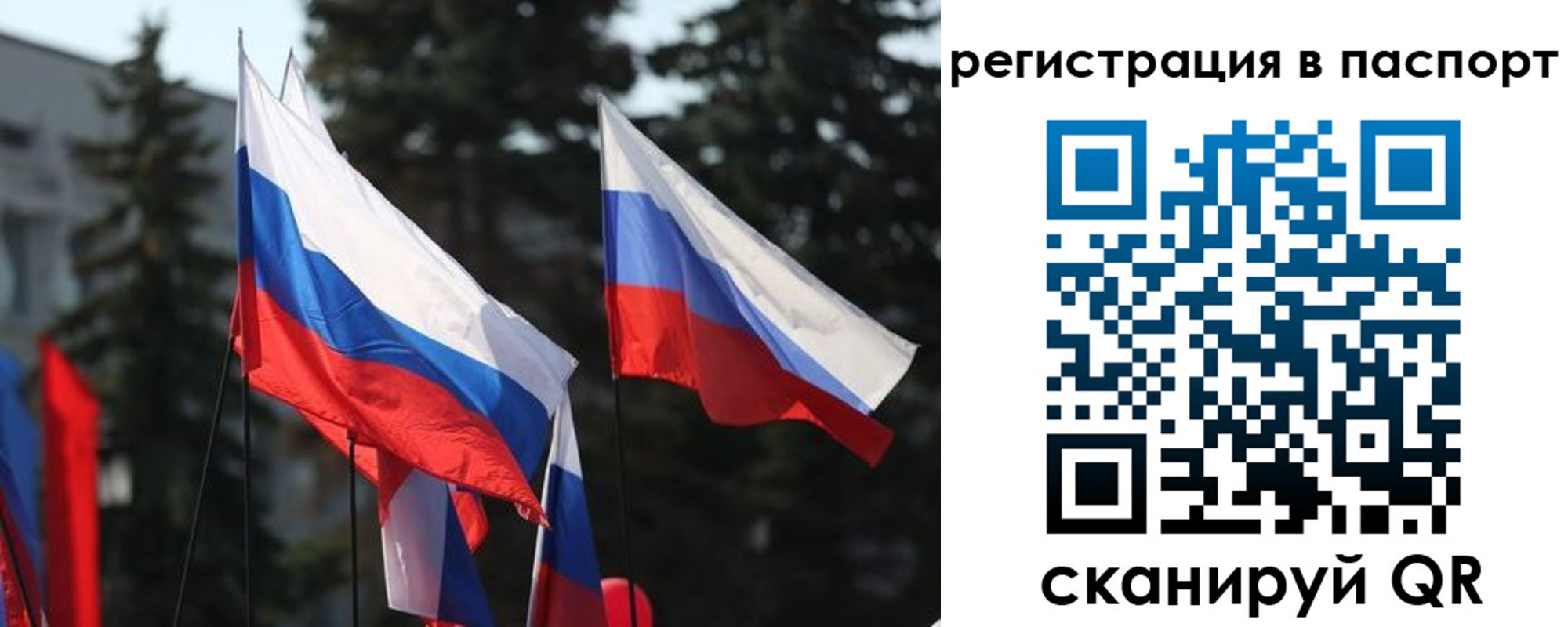 прописка штамп в Высоковске